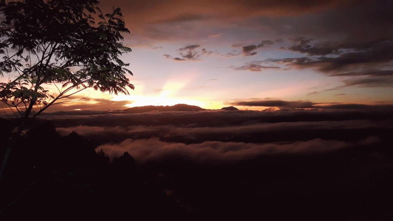 Toraja Manubackpacker Rantepao Exterior foto